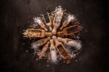 Still life of different types of salt