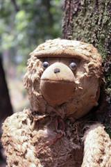 lonely little monkey