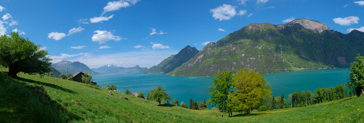Naklejka na ściany i meble stunning view from hiking trail to rütli in central switzerland along lake lucerne with trees blooming and alps and lake in background