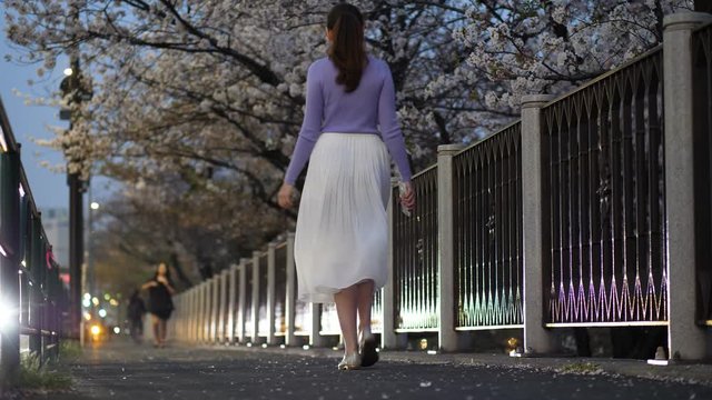 Tourist woman go by pedestrian path along Sotobori dori, evening hour. White petals of cherry fly in air from moving cars, selective focus shot. Beautiful hanami time at Tokyo in early April