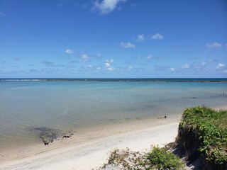 coqueiro, natureza, palmeiras, praia, água cristalina, férias, paraíso