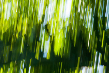 Abstract rainforest colours