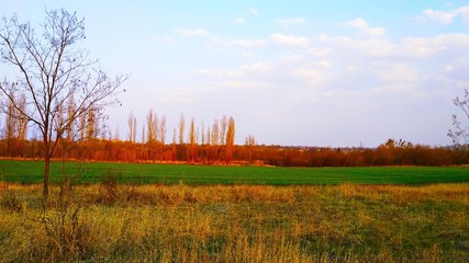 Nature bright colorful field and blue sky