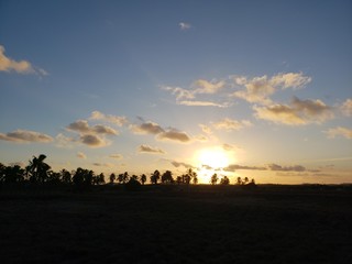 p&ocirc;r do sol, coqueiros, palmeiras, praia, natureza, mar, f&eacute;rias, para&iacute;so