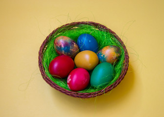 Green grass nest in a basket with colored chicken Easter eggs, multicolored painted eggs, Easter tradition, celebration concept 