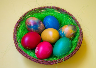 Green grass nest in a basket with colored chicken Easter eggs, multicolored painted eggs, Easter tradition, celebration concept 