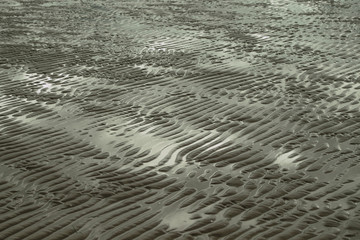 Beach on the white sea