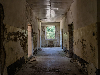 Obraz premium Opuszczony korytarz z brudnymi ścianami, wybitym oknem i śmieciami na podłodze, na zewnątrz słoneczny las