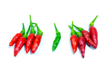 Tabasco Chilies 
