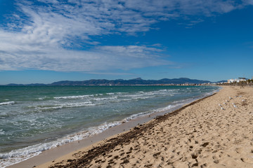 Strand in Arenal mit Blick auf Palma