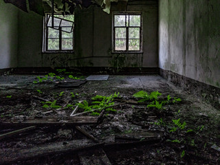 Moss and ferns on the floor in a derelict room, with broken windows and collapsing roof in an...