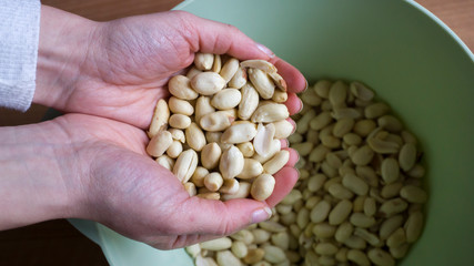 Woman hands holding tasty peanuts. Healthy lifestyle, clean eating, diet food, vegetarian food concept.