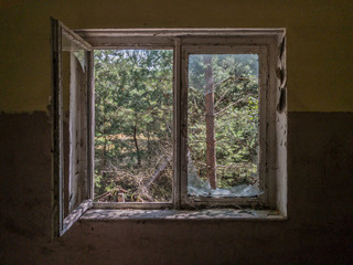 A decaying abandoned window looking out on a pine forest with blue skies