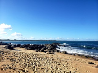 Fototapeta na wymiar praia, areia, mar, férias, natureza, pedras, pegadas