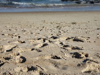 Fototapeta na wymiar praia, areia, mar, férias, natureza, pedras, pegadas