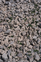 white pieces of stones on the ground, a lot of stones, parts of gray scattered stones.