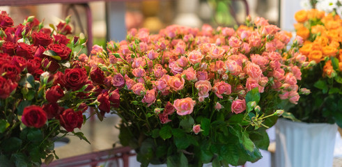 pink red and yellow roses in baskets on a flower market