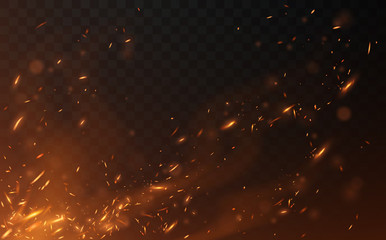 Flying fire sparks on transparent background