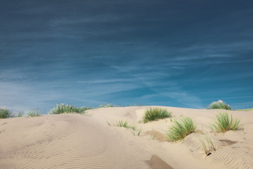 Sand Dunes