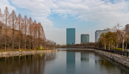 Osaka Castle Park I