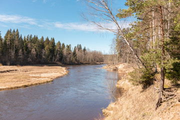 Wildlife landscape with wild river in Eastern Europe