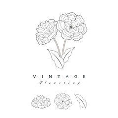 Stylized vintage retro flower. Natural style brand logo isolated on white background