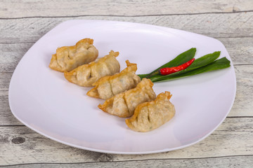 Japanese traditional cuisine Gyoza dumplings
