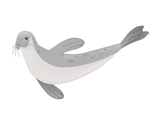 Cute seal cartoon animal design flat vector illustration isolated on white background