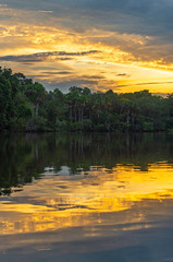 Obraz na płótnie Canvas Vertical Amazon Rainforest Sunset Reflection inside Yasuni national park, Ecuador.