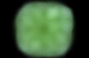 Green abstract pattern background for concept design. Geometric line pattern.