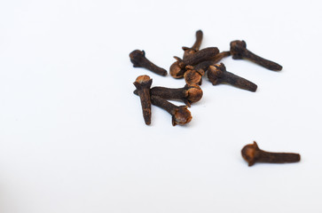 Cloves on white background