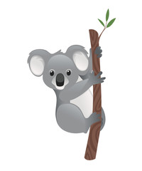 Cute grey koala bear sit on wood branch with green leaves cartoon animal design flat vector illustration isolated on white background © Alfmaler