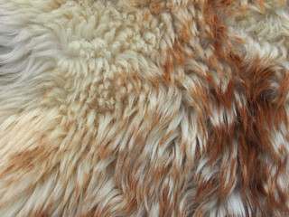 Light brown background, fur texture, close-up. Abstract, creative background in light dark colors.