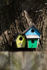 Birdhouse on Tree