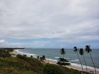 pôr do sol, natureza, coqueiros, palmeiras, natureza, praia