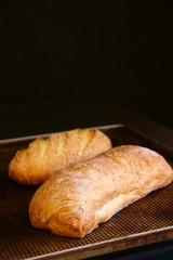 fresh ciabatta bread on a baking sheet and dark background