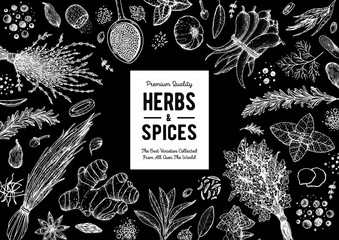 Herbs and spices hand drawn vector illustration. Aromatic plants. Hand drawn food sketch. Vintage illustration. Card design. Sketch style. Spice and herbs black and white design.