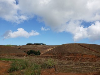produ&ccedil;&atilde;o de cana de a&ccedil;&uacute;car, canavial, terra vermelha, fazenda, agricultura