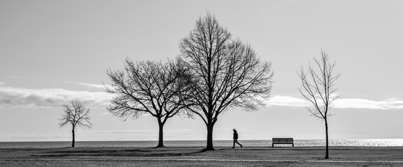 silhouette of a man walking in a park