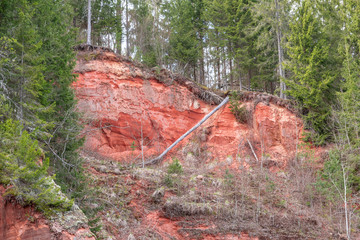 Red sandstone cliff in wild forest in Latvia