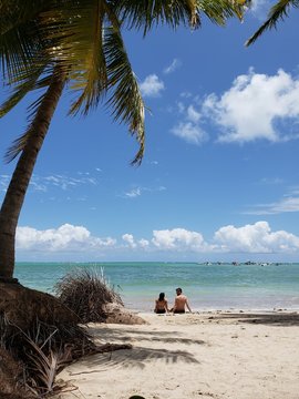 casal, apaixonados, lua de mel, praia, natureza, para&iacute;so, paradis&iacute;aco, 
