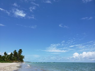 praia, areia, mar, natureza, vida, férias, paraíso, coqueiros
