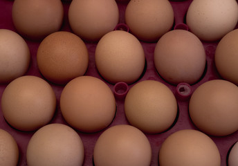 lots of eggs, chicken egg tray, Easter eggs