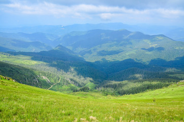 Fototapeta na wymiar View to a chain of green mountains peaks on cloudy summer day. gorgeous landscape of Carpathian mountains Marmarosy ridge. Trekking in mountains.
