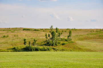 Fototapeta premium Gold meadow with green trees far away and blue sky. Bright summer. Perfect weather. Travelling