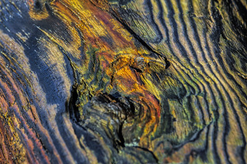 Driftwood colors and paterns in natural format shapes