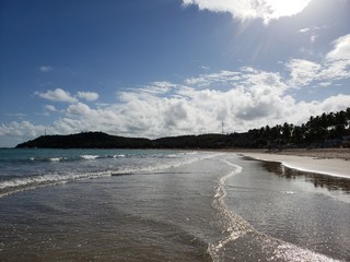 férias no paraíso de águas cristalinas, mar, praia, areia, coqueiros, 