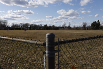 Empty Baseball Field