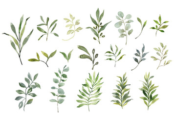 Beautiful set with watercolor foliage. Hand painted illustration. Green branches and leaves. Best for background, wallpaper, wrapping paper, textile, prints, wedding invitation, party supplies.