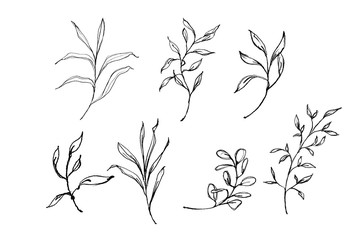 Beautiful set with watercolor foliage. Hand painted illustration. Green branches and leaves. Best for background, wallpaper, wrapping paper, textile, prints, wedding invitation, party supplies.